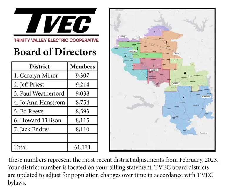 Trinity valley electric company